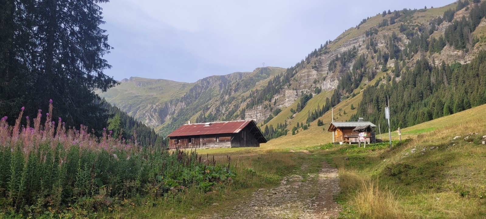 #1 Les Mouillettes Les Mouillettes