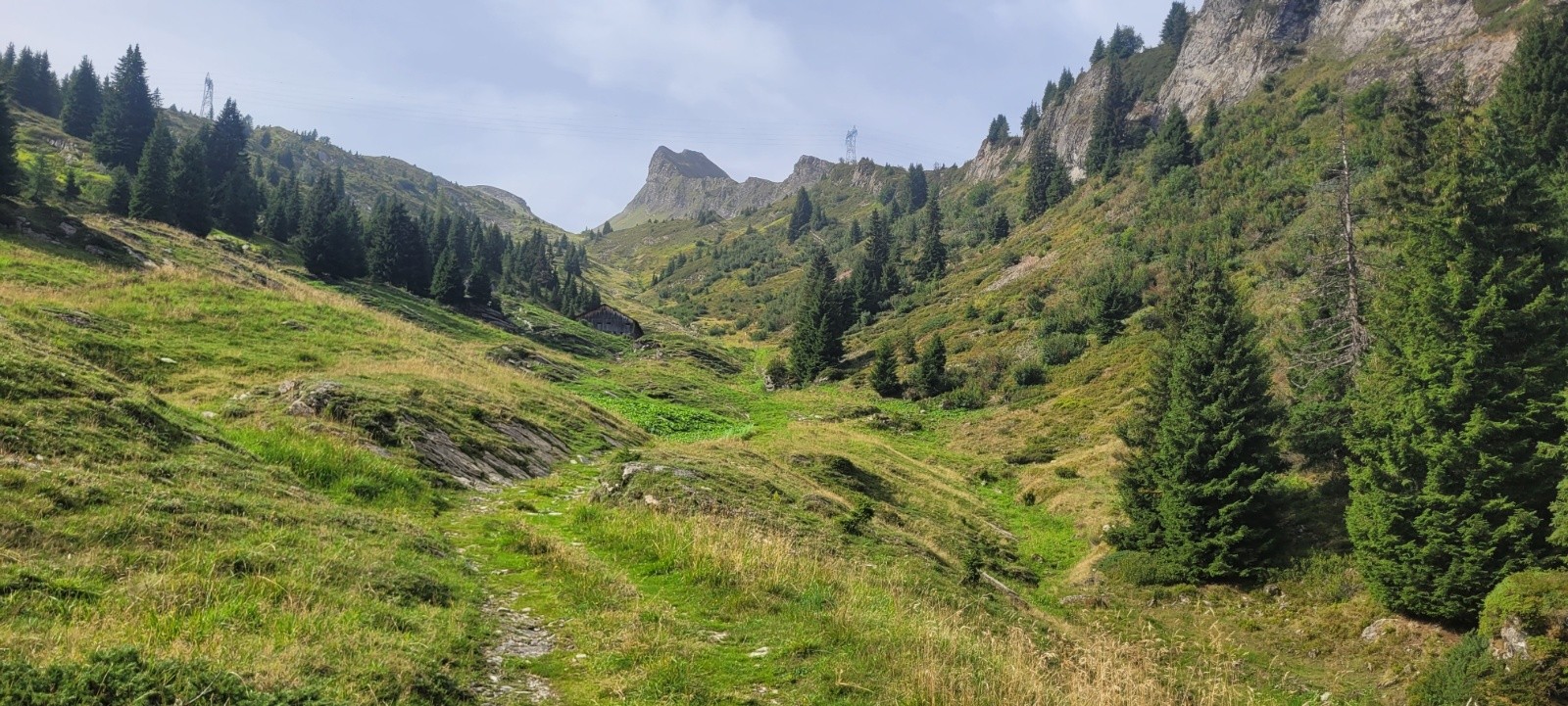 #2 Combe des Foges Combe des Foges