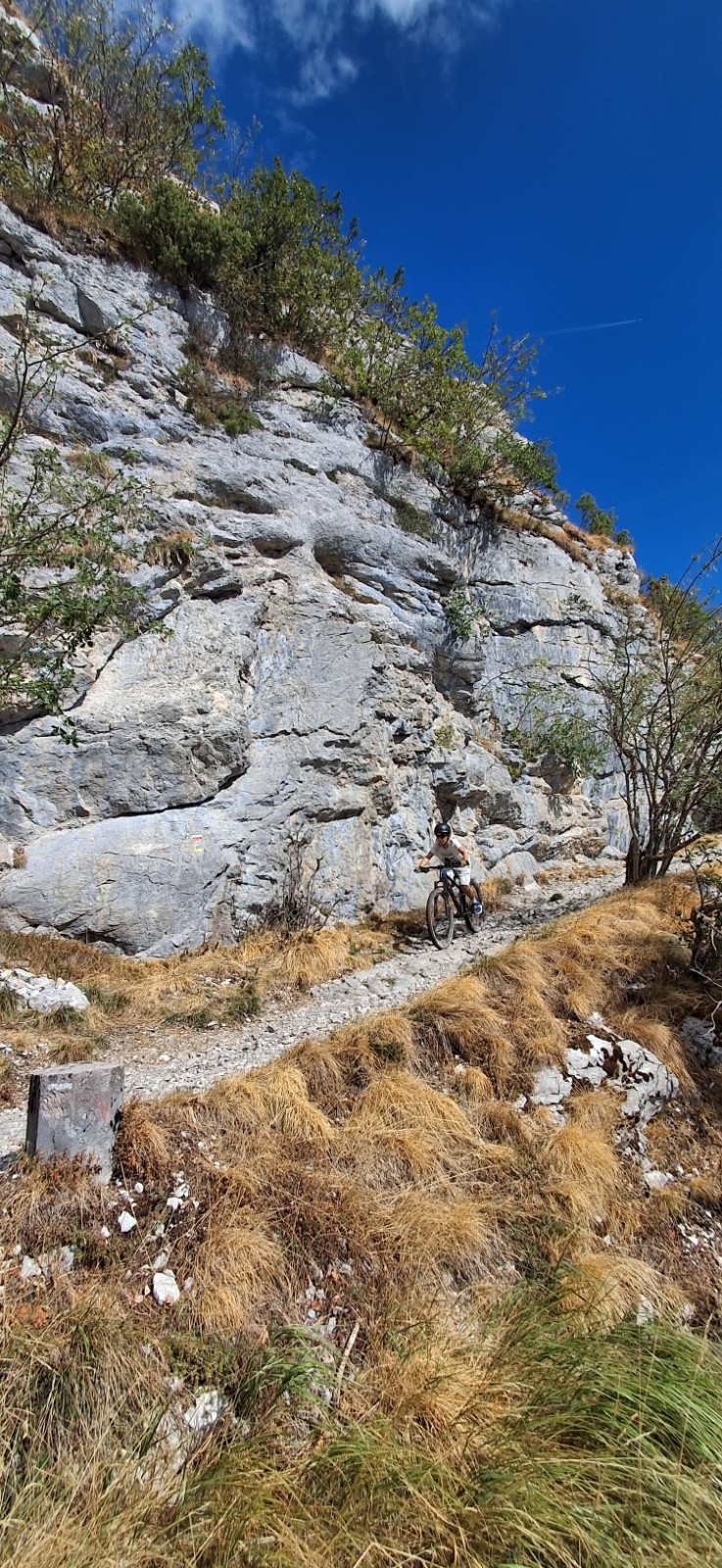 #7