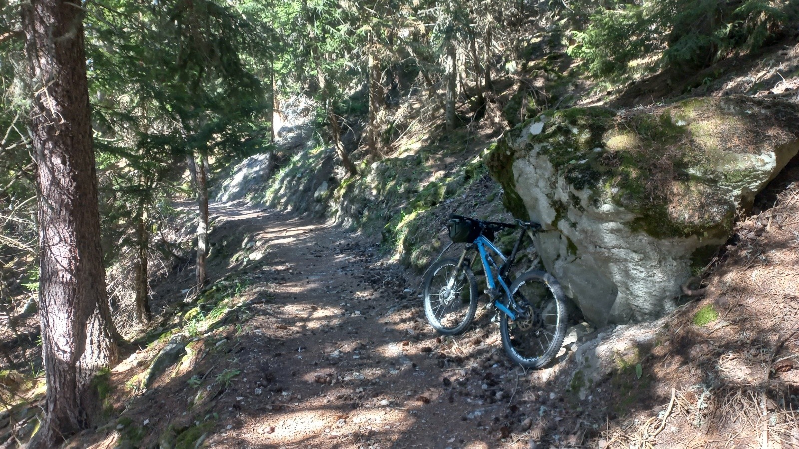 #2 Un très joli chemin tout en forêt moussue et ombragée Un très joli chemin tout en forêt moussue et ombragée