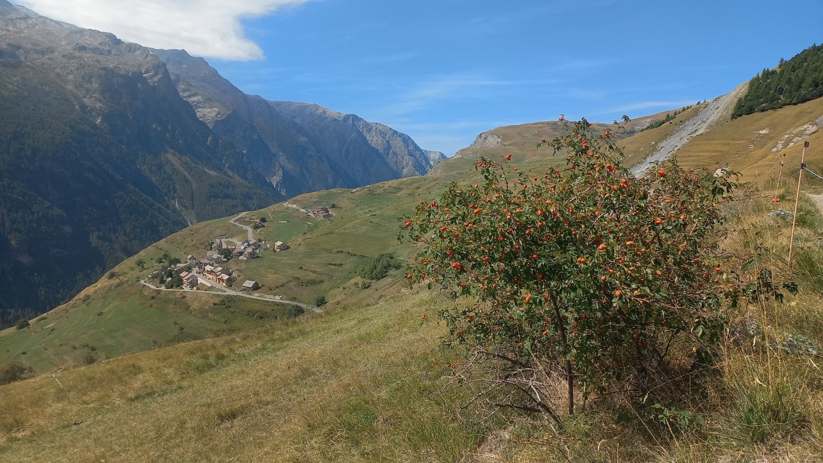 #54 Montée depuis Ventalon Montée depuis Ventalon