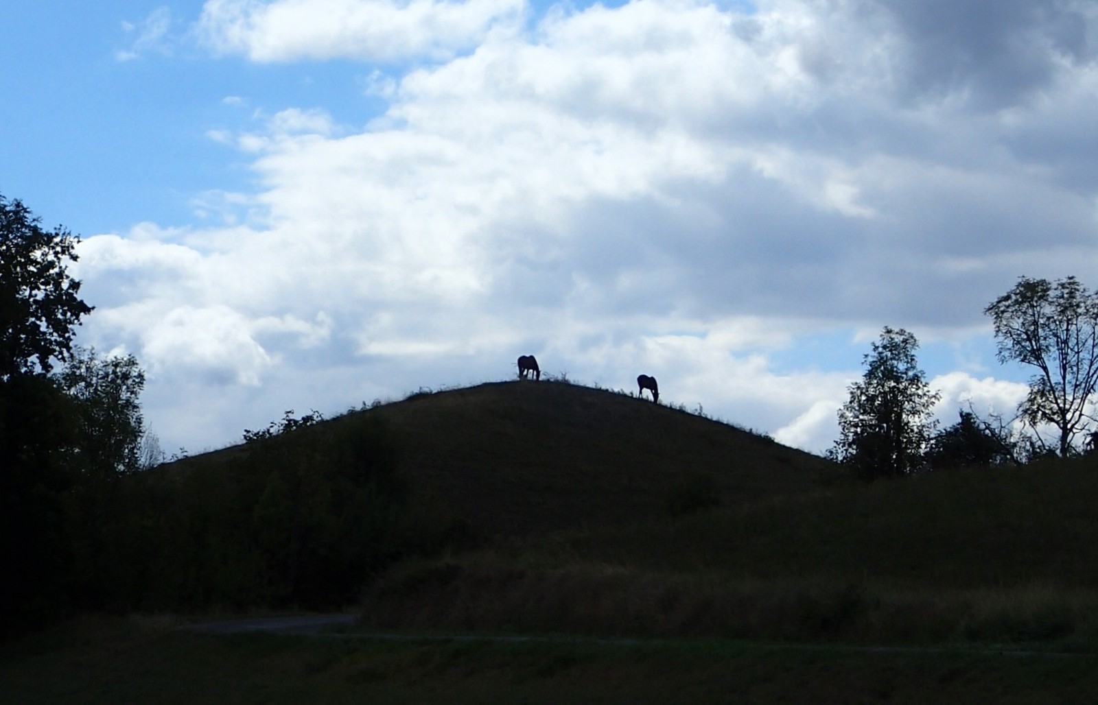 #10 2 chevaux ! 2 chevaux !
