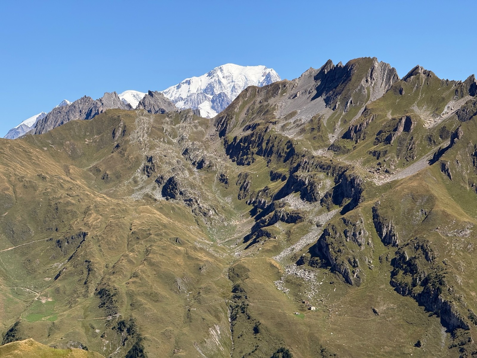 #5
