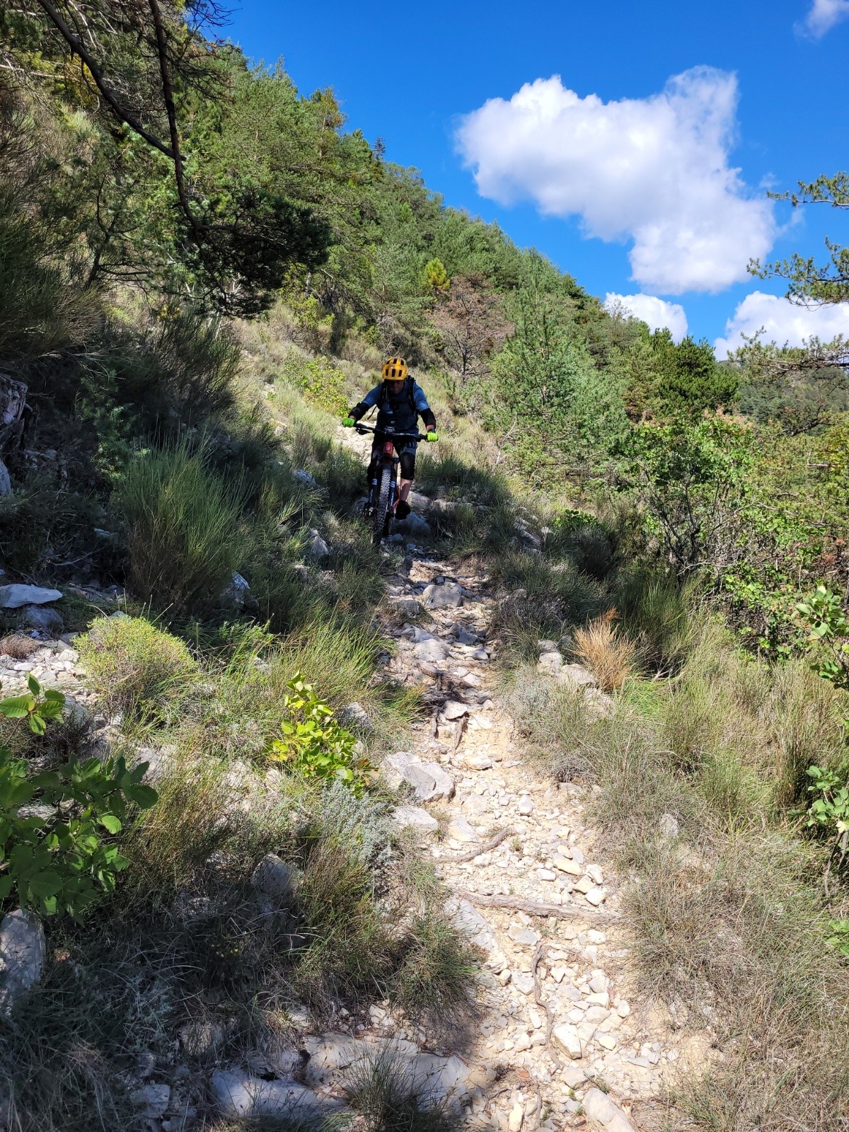 #17 Sous le col de l Sous le col de l'abeille.