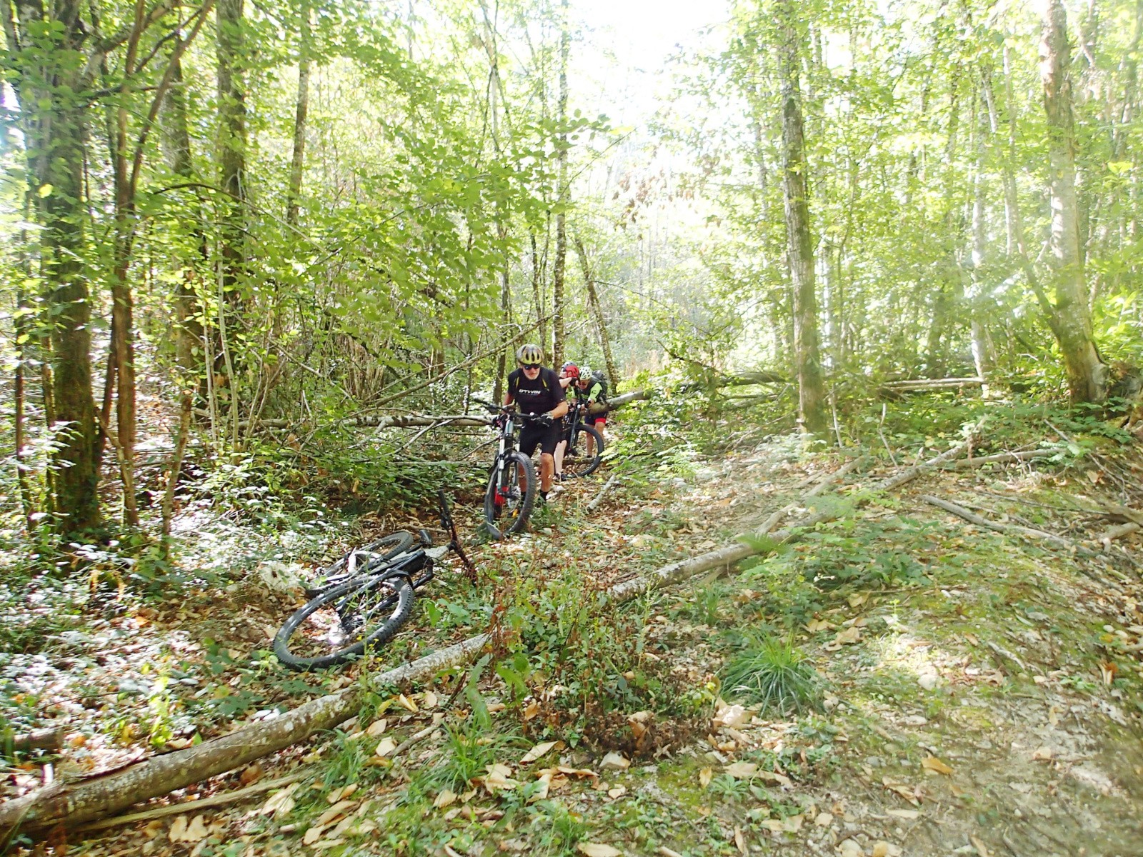 #8 Après une belle bagarre au milieu des troncs on sort sur une piste dégagée... ouf ! Après une belle bagarre au milieu des troncs on sort sur une piste dégagée... ouf !