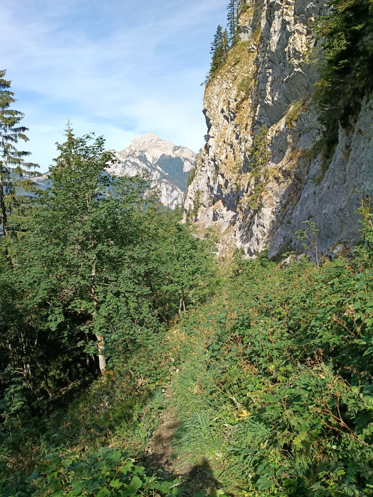 #6