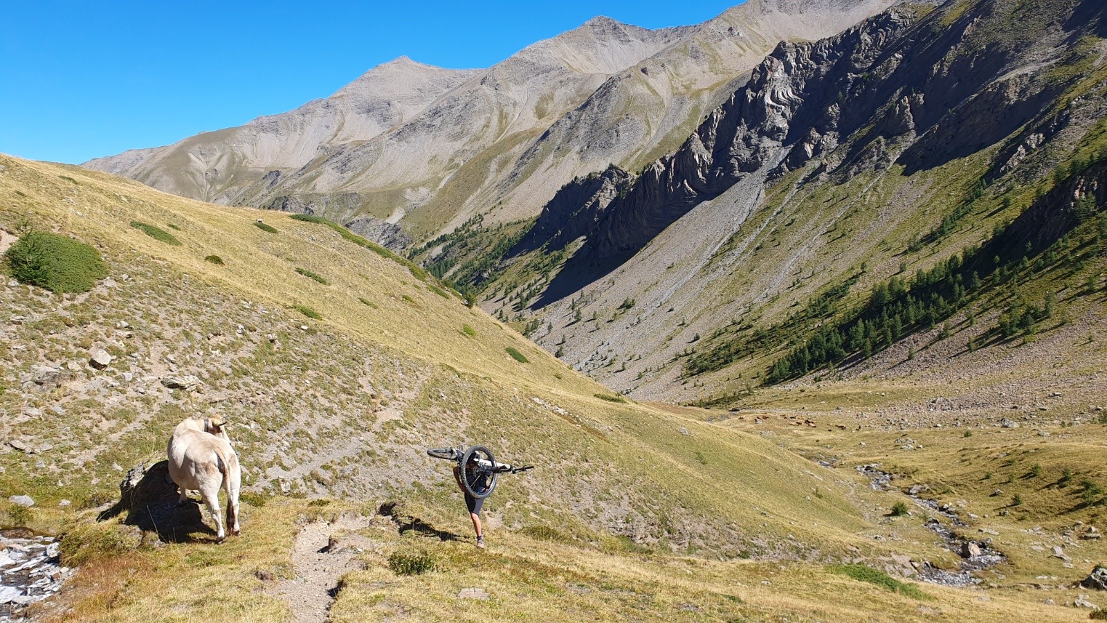 #6 Montée Grand Vallon Montée Grand Vallon