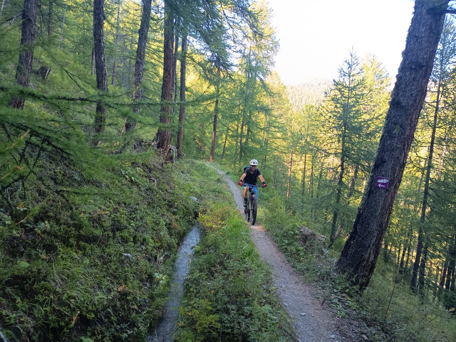 #7