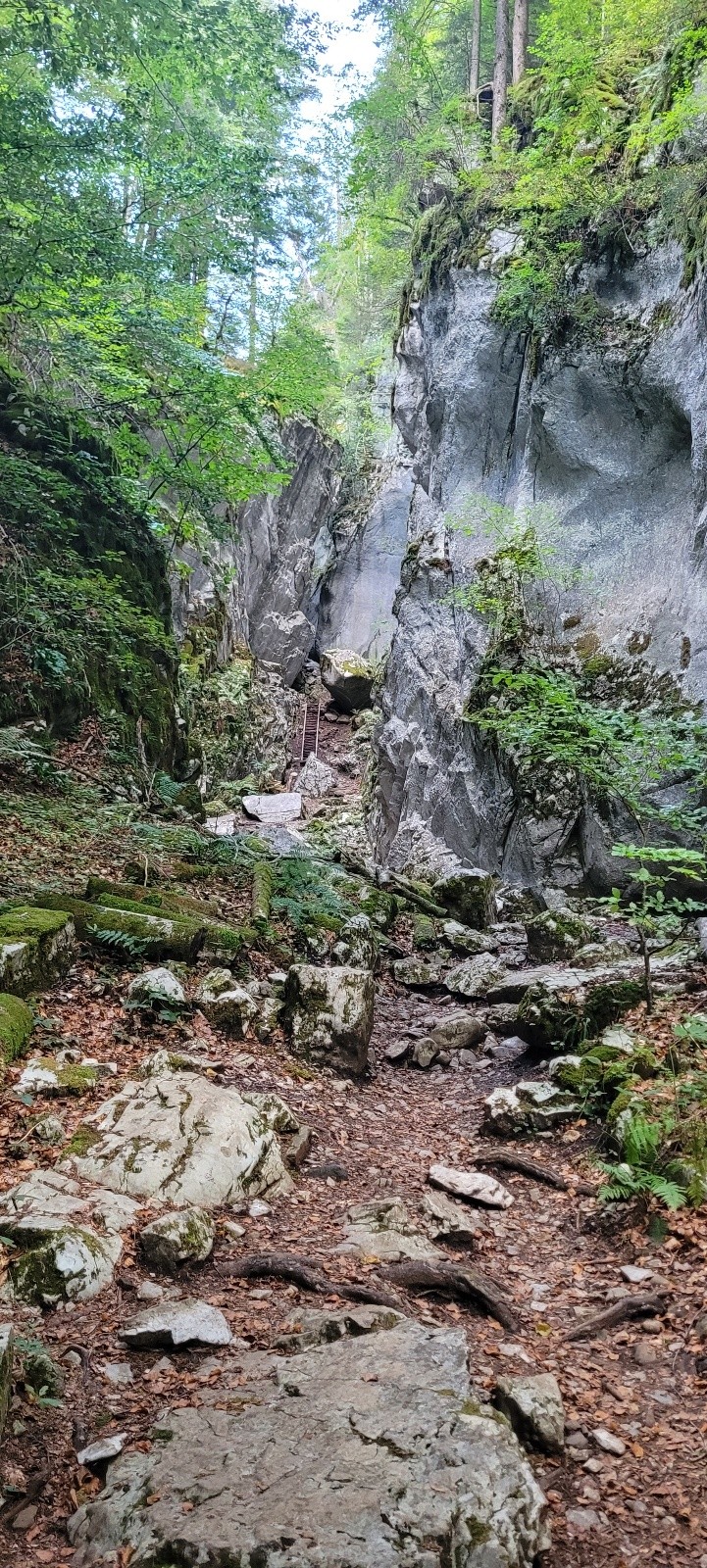 &nbsp;Ancienne gorge du Giffre