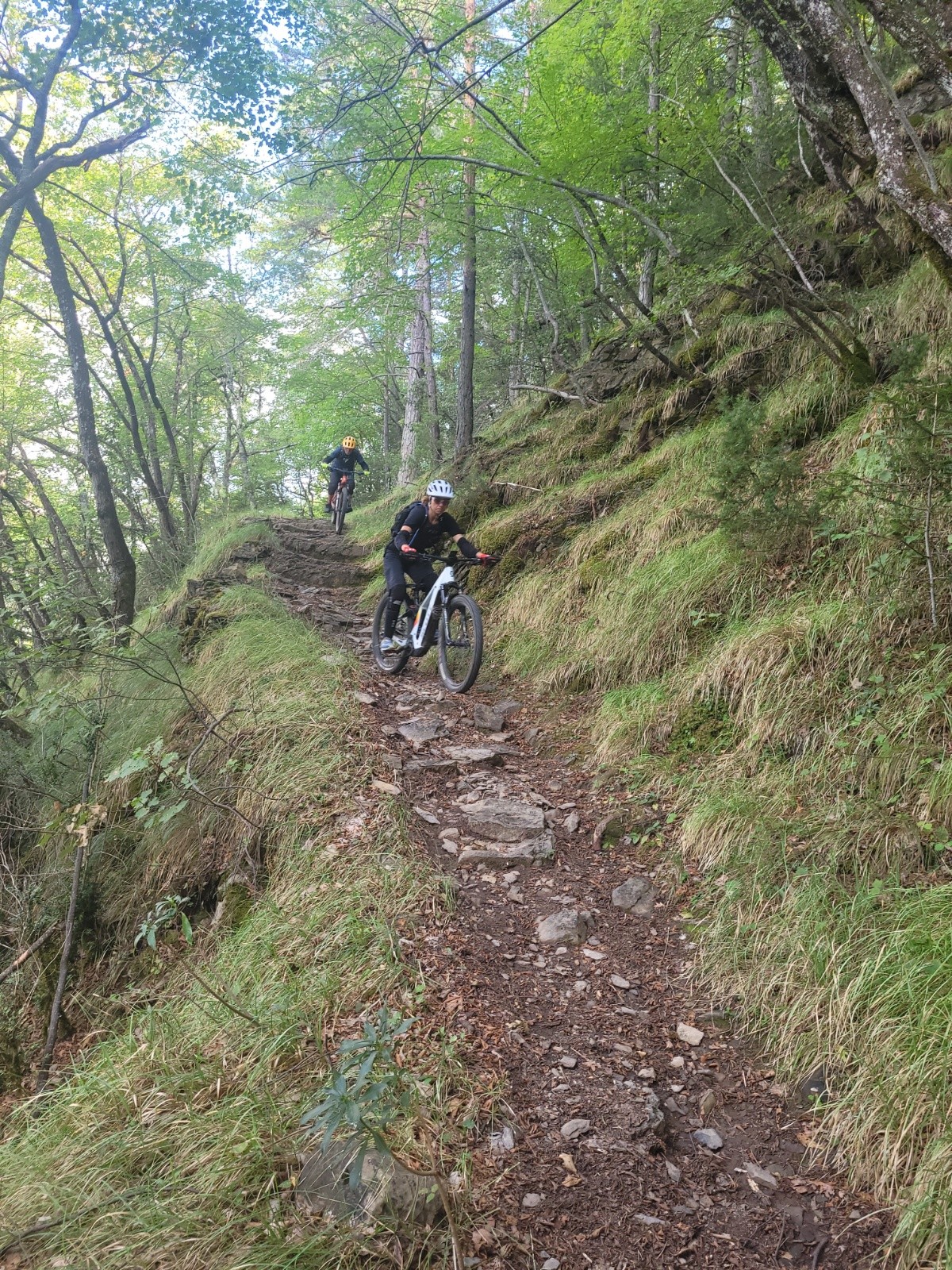 #11 descente à partir de la piste de Tardei descente à partir de la piste de Tardei