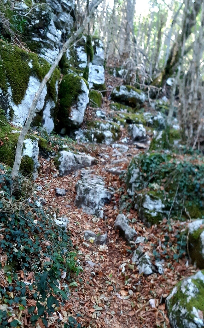 #1 Début du Bois de Ratz. T4 sur 10m. Début du Bois de Ratz. T4 sur 10m.