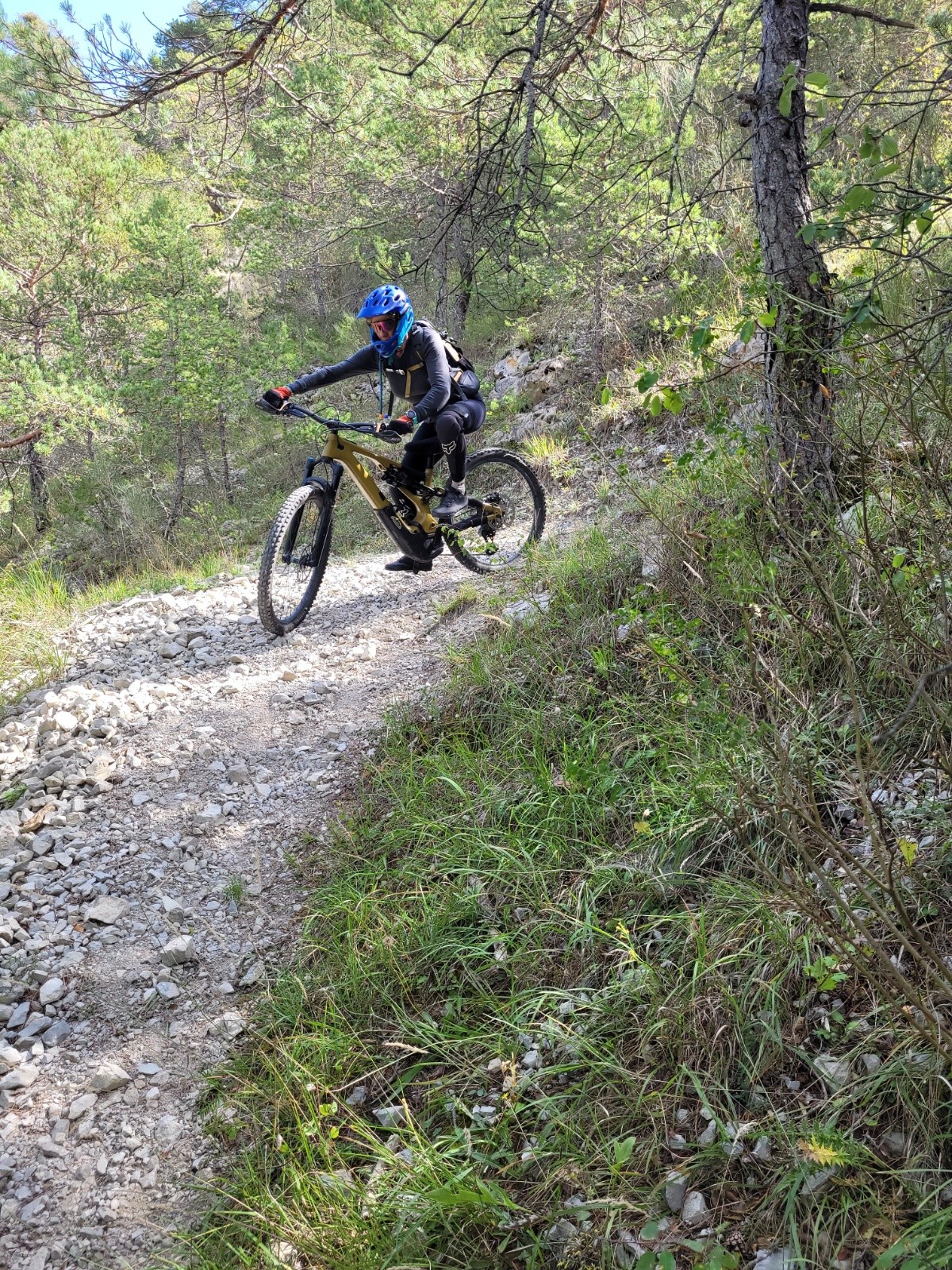 #11 Descente vers la D10 Descente vers la D10