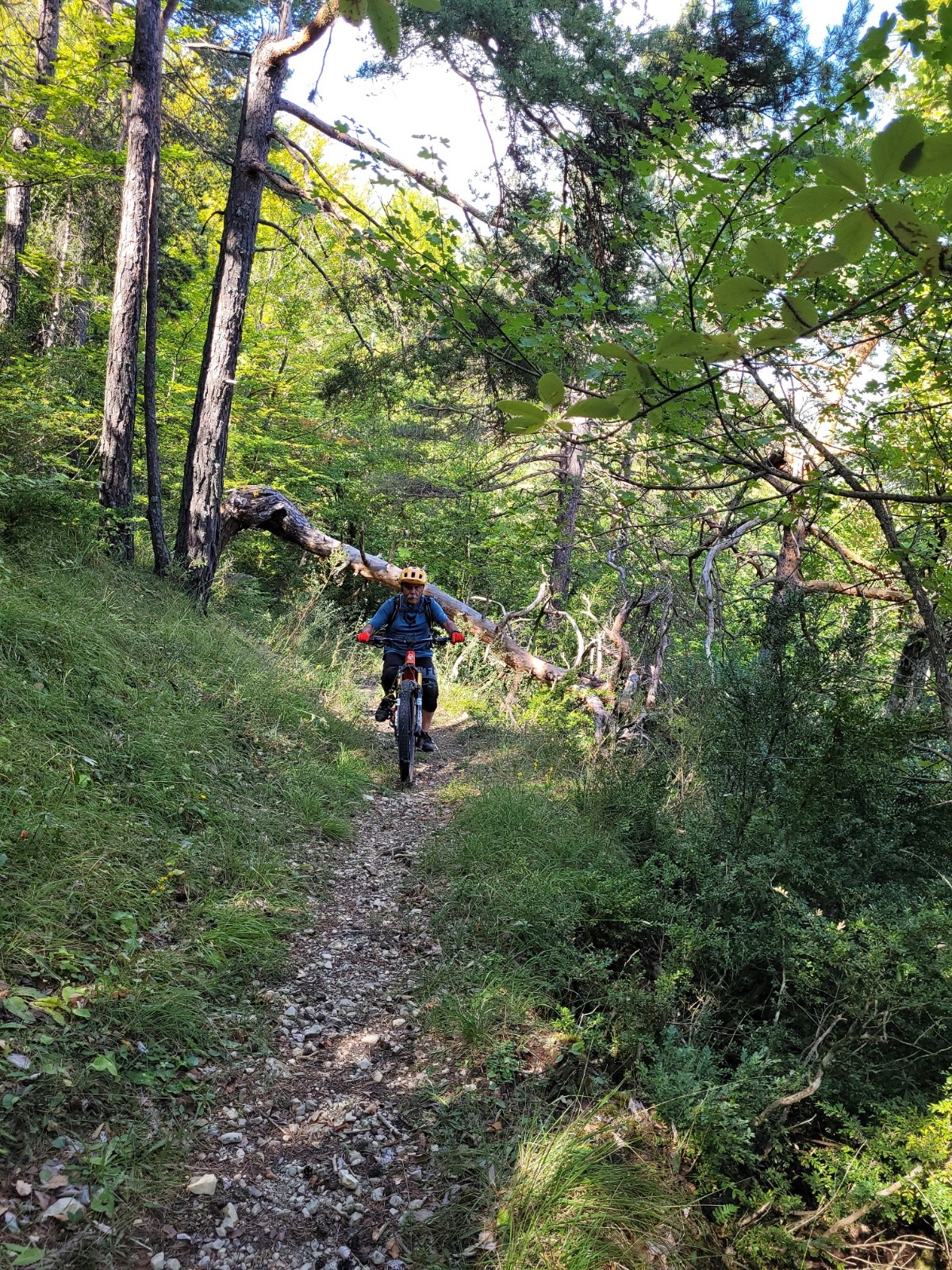 #3 montée vers l montée vers l'oratoire