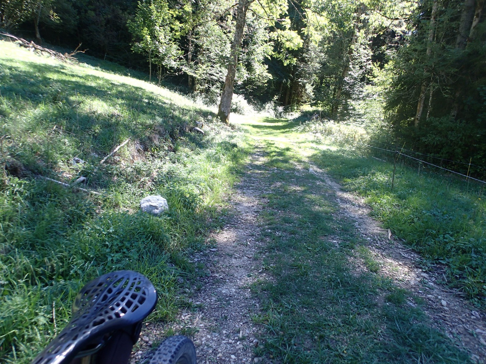 #4 Dans l Dans l'Herbetan...