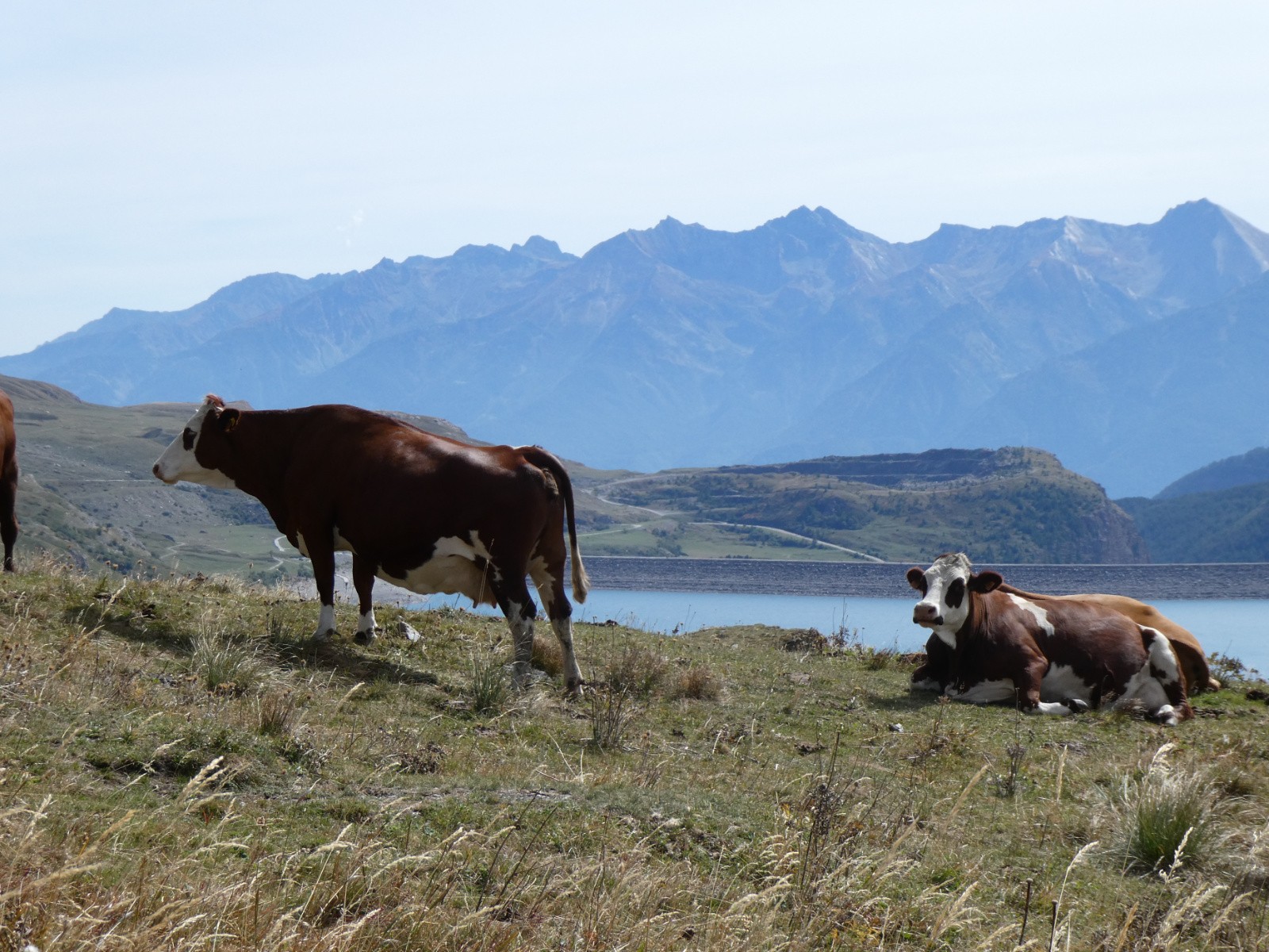 #10 Carte postale! Carte postale!
