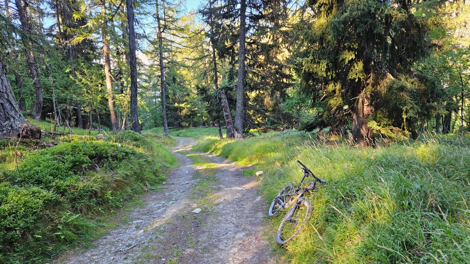 #2 Quasiment deux heures en sous-bois. Quasiment deux heures en sous-bois.