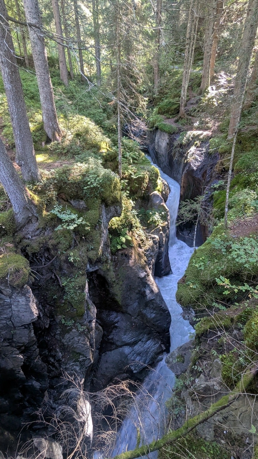 #5 La gorge du Bon Nant et son torrent tumultueux... snif nos glaciers La gorge du Bon Nant et son torrent tumultueux... snif nos glaciers