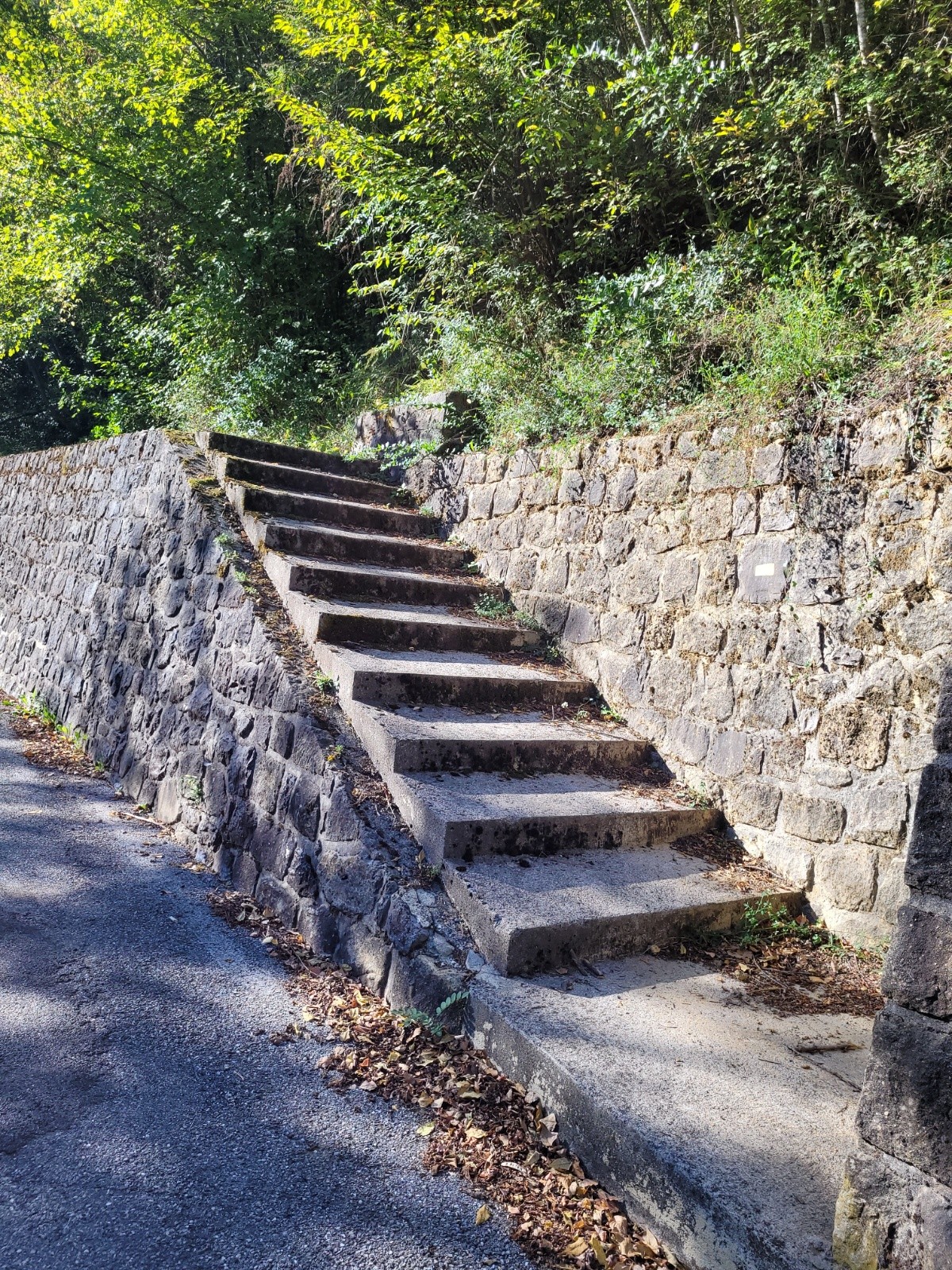 #1 Début du sentier Début du sentier