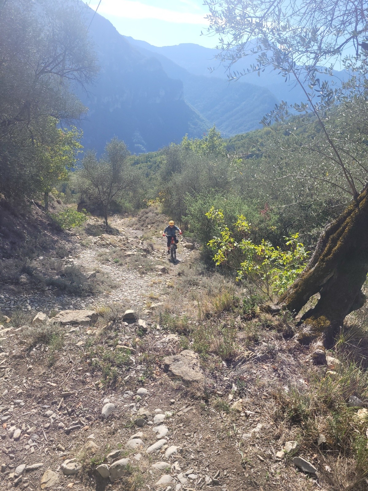 #17 Un gros travail de propreté sur le sentier ! Un gros travail de propreté sur le sentier !