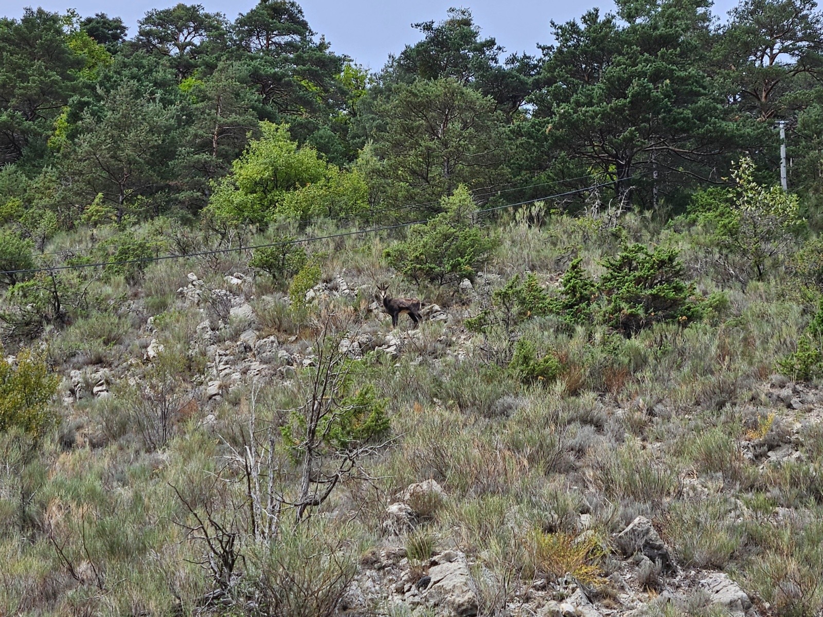 #4 Un Chamois Un Chamois
