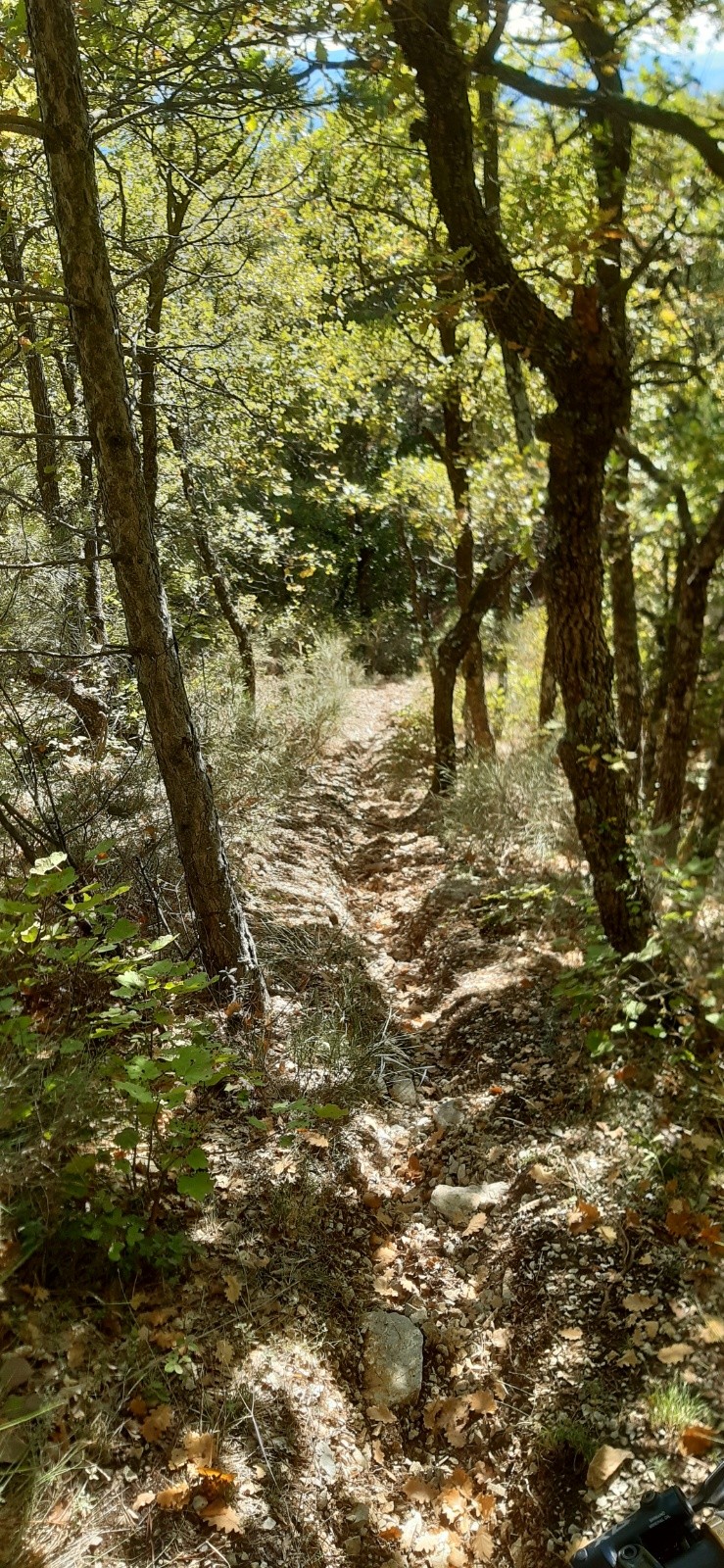 #3 Sentier bien vcreusé Sentier bien vcreusé