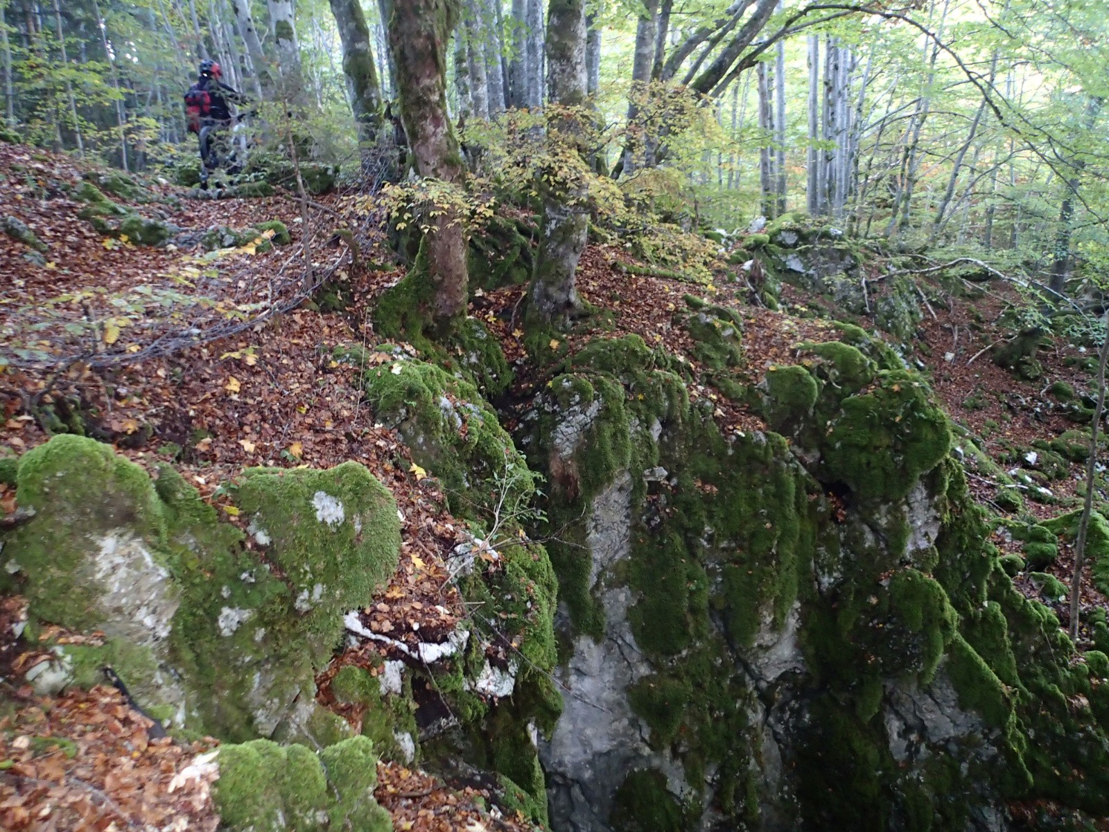 On passe tout près d'un des gouffres du bois du Follet !