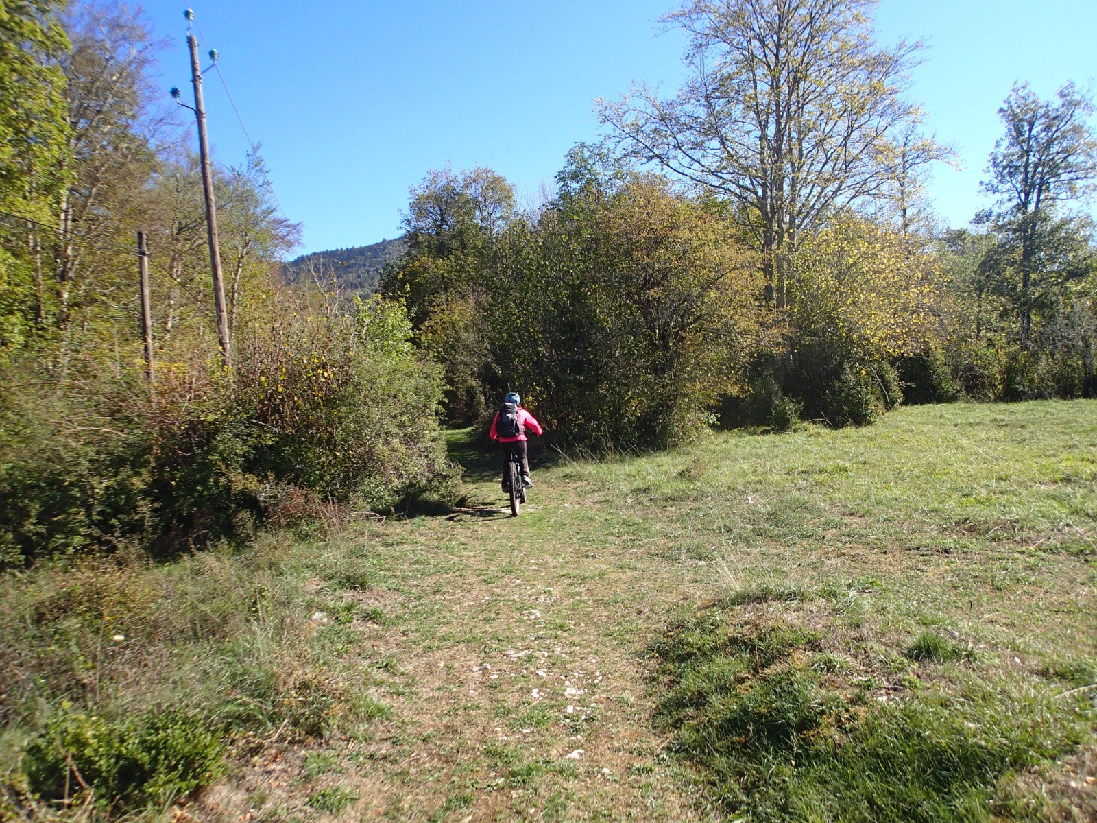 Retour dans les bois...