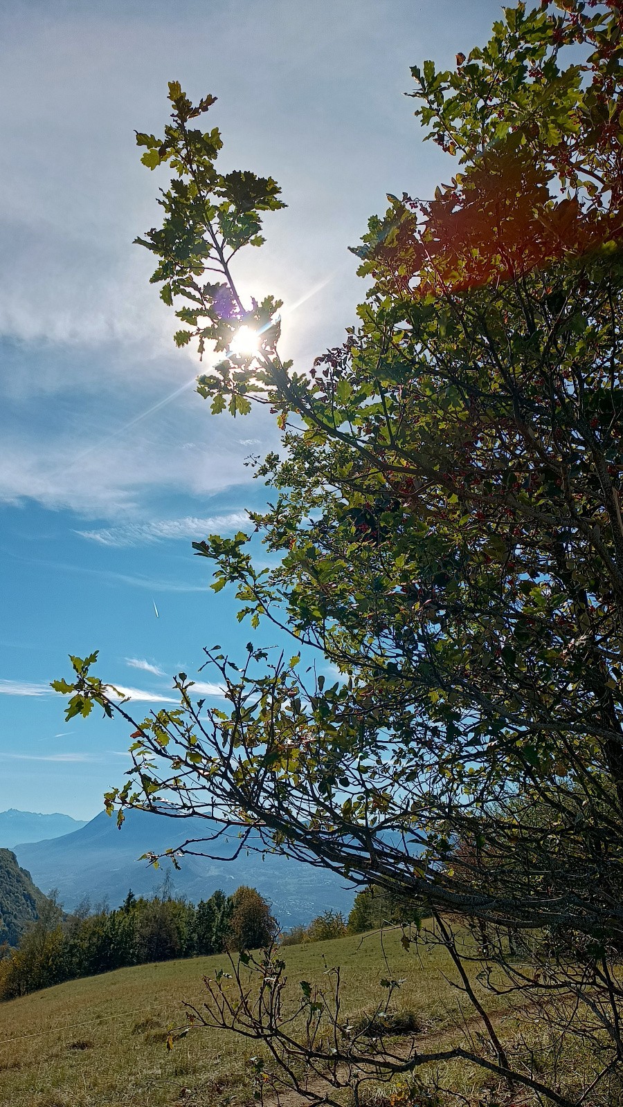 #7 Automne Automne