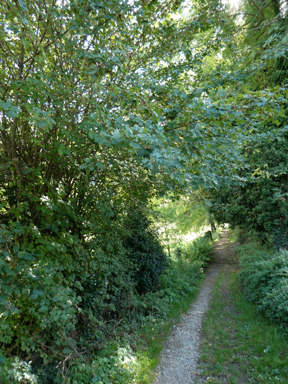#5 Type de sentier lors de la balade, je ne sais plus ou c Type de sentier lors de la balade, je ne sais plus ou c'est!