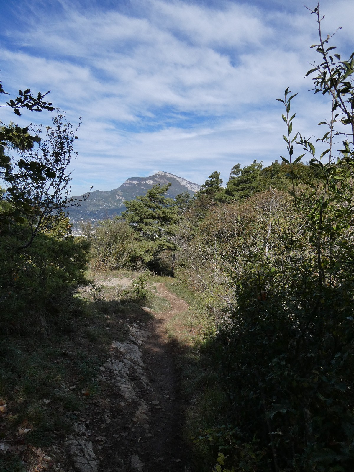 #8 Descente de la Croix. Descente de la Croix.