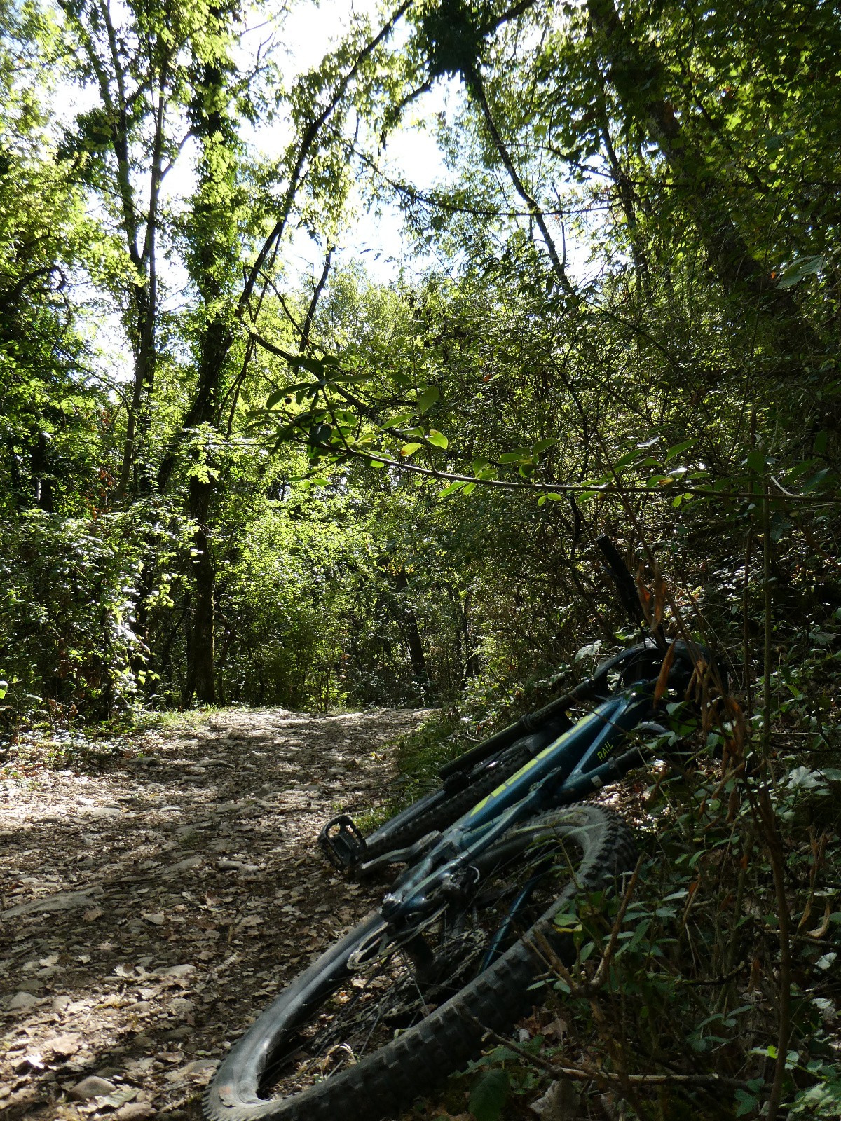 #6 Montée à la Croix de la Coche Montée à la Croix de la Coche