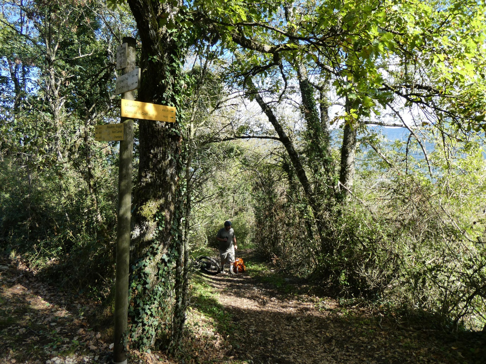 #4 Montée au mont Carmel Montée au mont Carmel