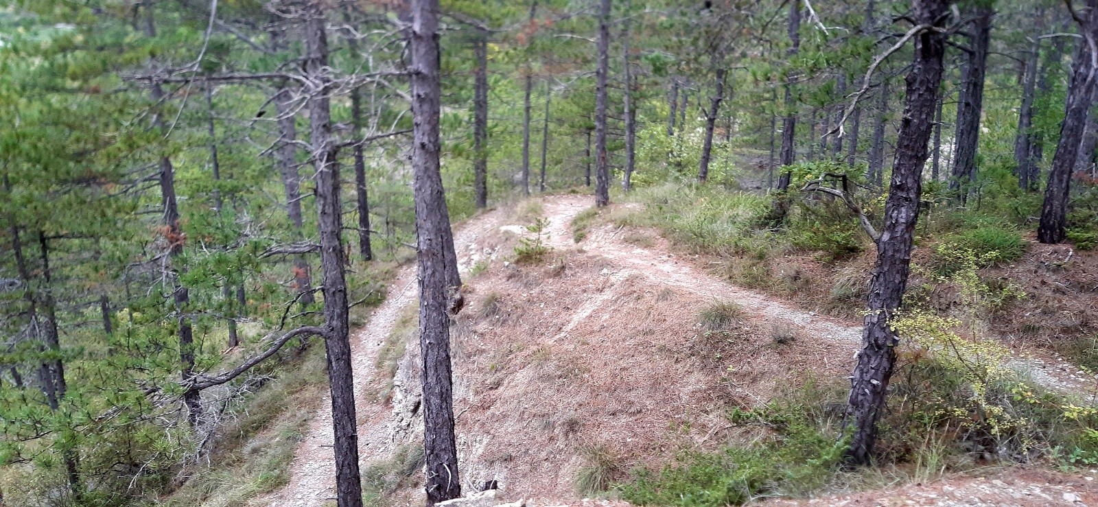 #2 La descente du Ponet, pourquoi pas l La descente du Ponet, pourquoi pas l'essayer en montée VAE?