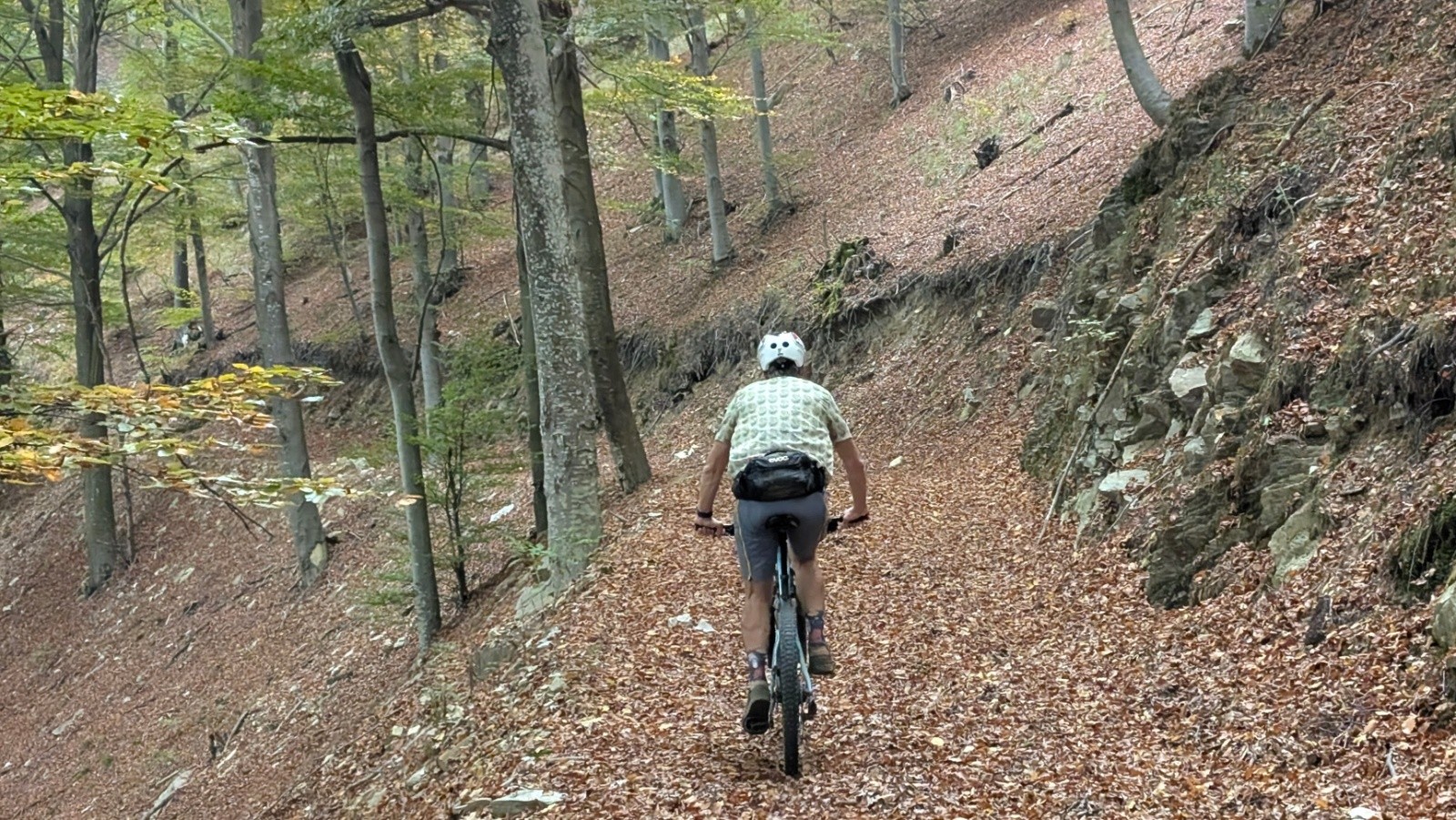 Dans les feuilles de Ligurie sous le Monte Carno&nbsp;