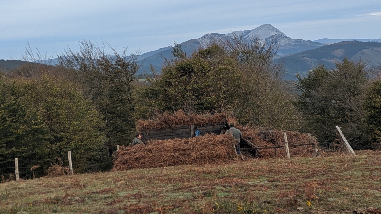 poste de chasse