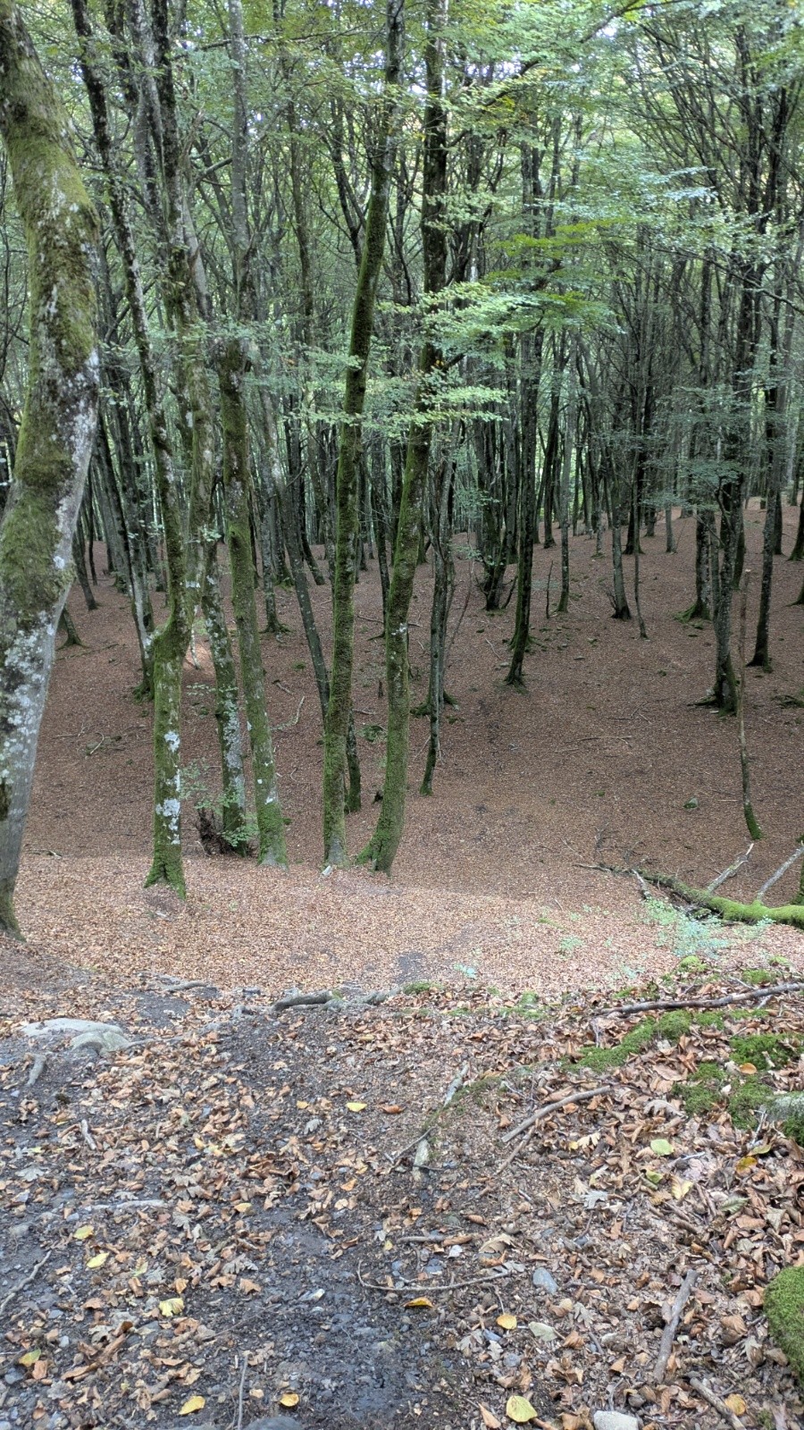 du bien raide&nbsp;