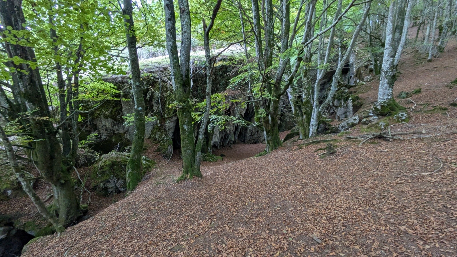 Cuevas de Otxarreta&nbsp;