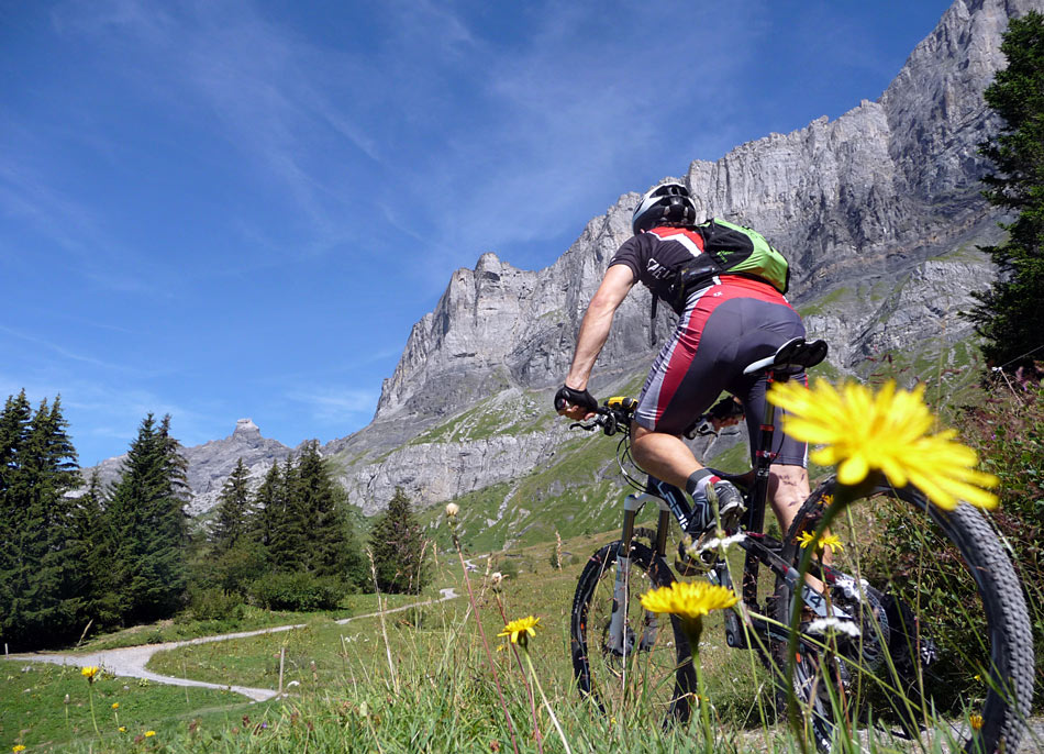 #1 Chalets du Souay : La barre des Fiz, avec au centre de l Chalets du Souay : La barre des Fiz, avec au centre de l'image "le Marteau"