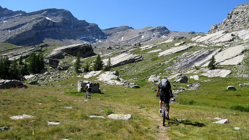 Changement de paysage : en sortant de la forêt