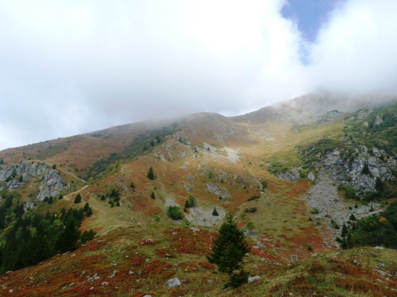 Descente sous Orionde : Le versant sud ouest, le sentier est celui de gauche. Sur la carte IGN on voit un chemin qui descend à droite du sapin du milieu. Apparemment c'est devenu free-ride.