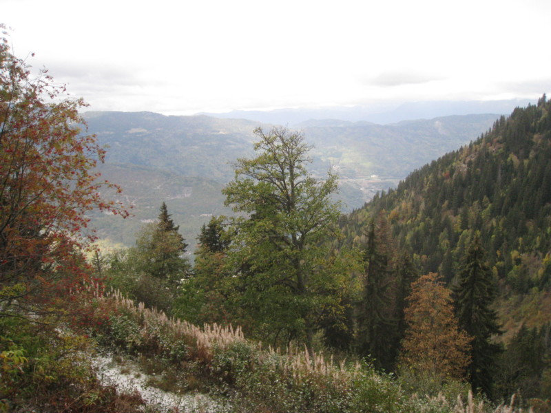 #5 Plan Richard : parti avec le ciel bleu, mais ça se couvre bien vite Plan Richard : parti avec le ciel bleu, mais ça se couvre bien vite