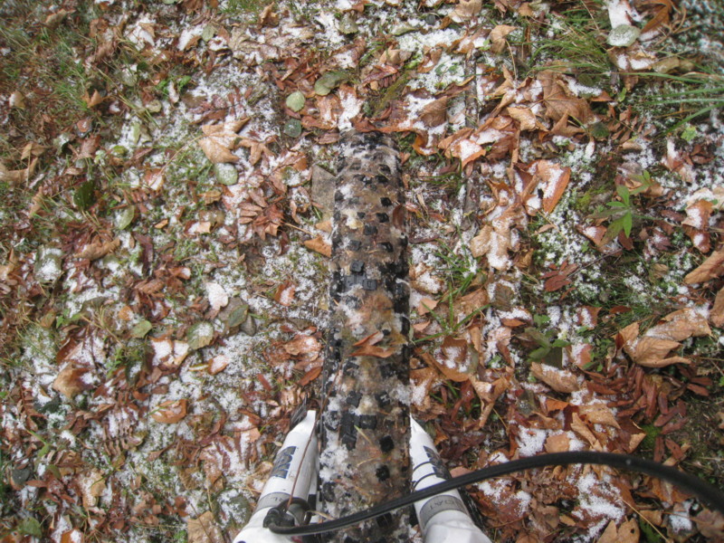 #6 Adhérence : Cocktail adhérence du jour: feuilles, givre et un soupçon de flocons!! C Adhérence : Cocktail adhérence du jour: feuilles, givre et un soupçon de flocons!! C'est que du très bon....
