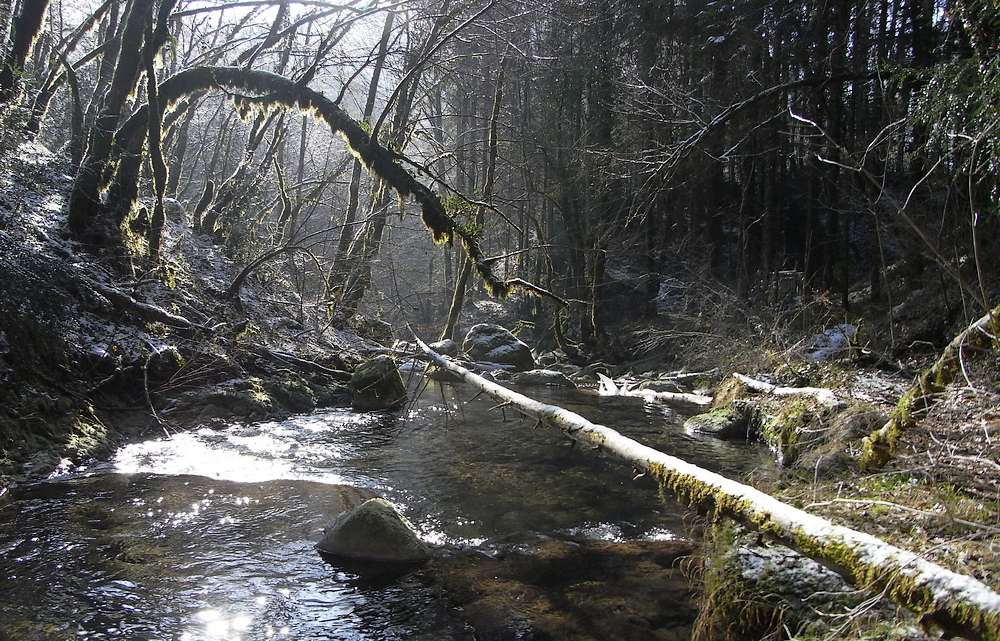 #6 Jolie lumière : le réflex aurait été utile ici... Jolie lumière : le réflex aurait été utile ici...