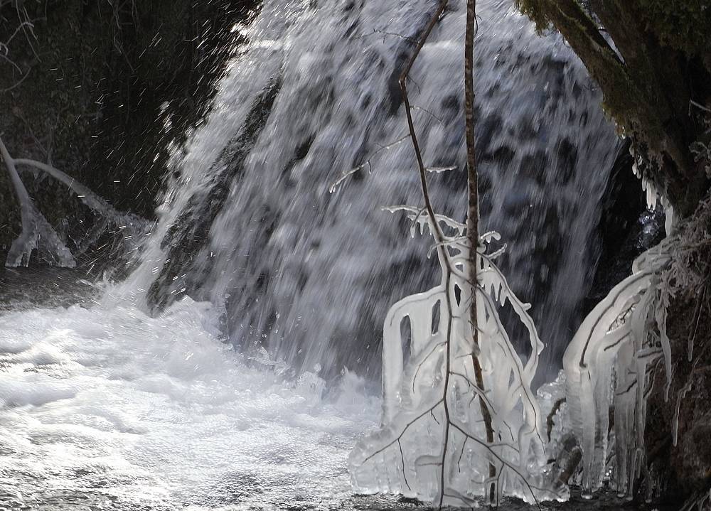 #2 Sculture : grosse caillante ces derniers jours Sculture : grosse caillante ces derniers jours