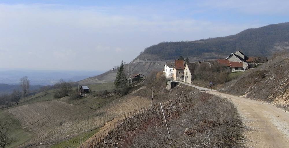 #9 Crept : le village (quasiment que des vignerons ici, produisant du "Montagnieu") Crept : le village (quasiment que des vignerons ici, produisant du "Montagnieu")
