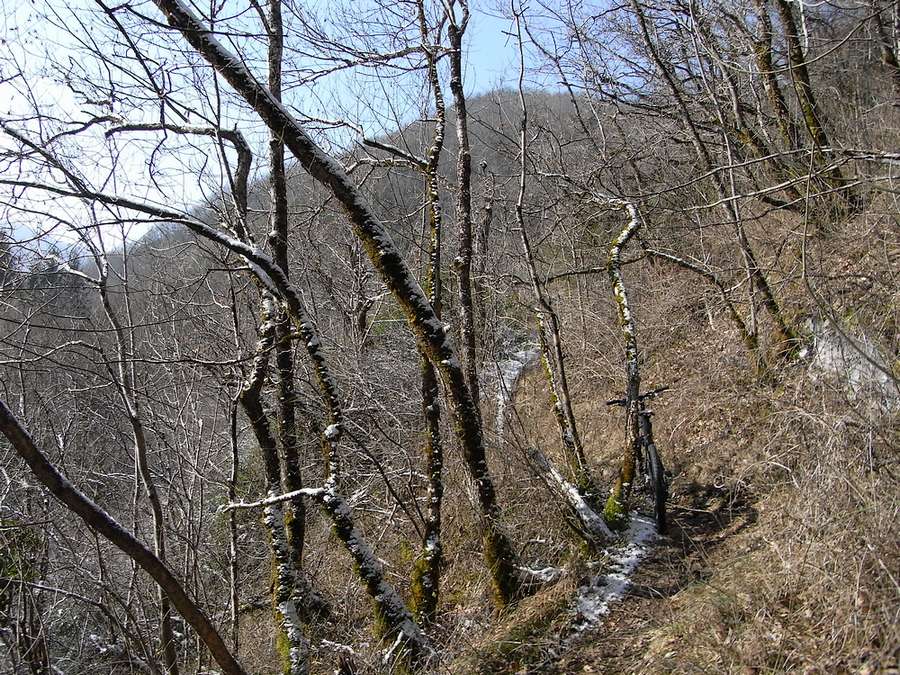 #4 Single : balcon au-dessus de la cascade, ça fait plaisir de voir le soleil ! Single : balcon au-dessus de la cascade, ça fait plaisir de voir le soleil !