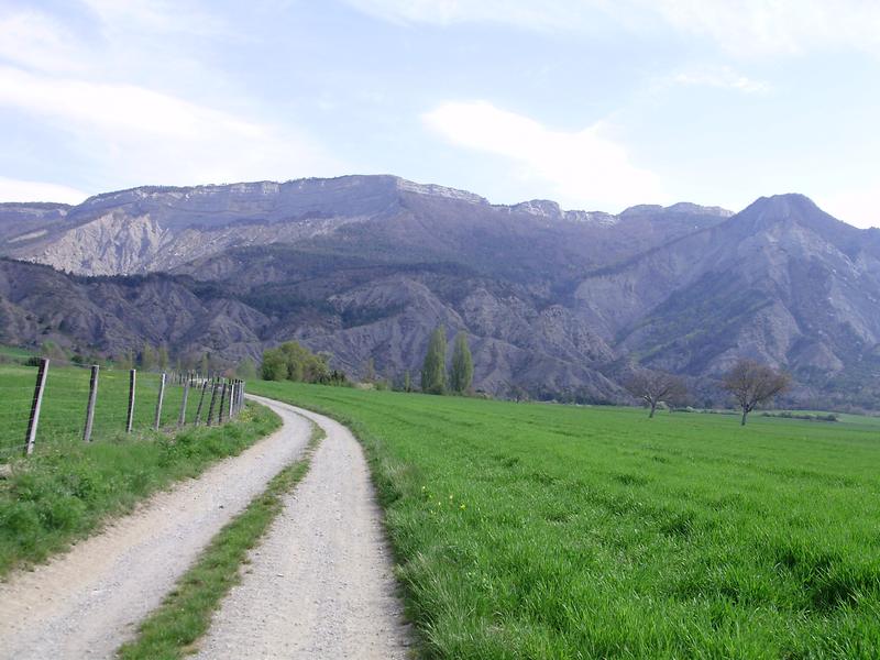 Montée : Pistasse facile au début.