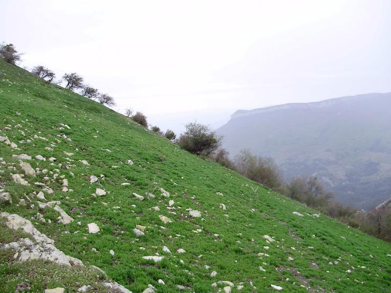 Descente des Ostaus : Superbe mini - traversée à flanc sur le début.