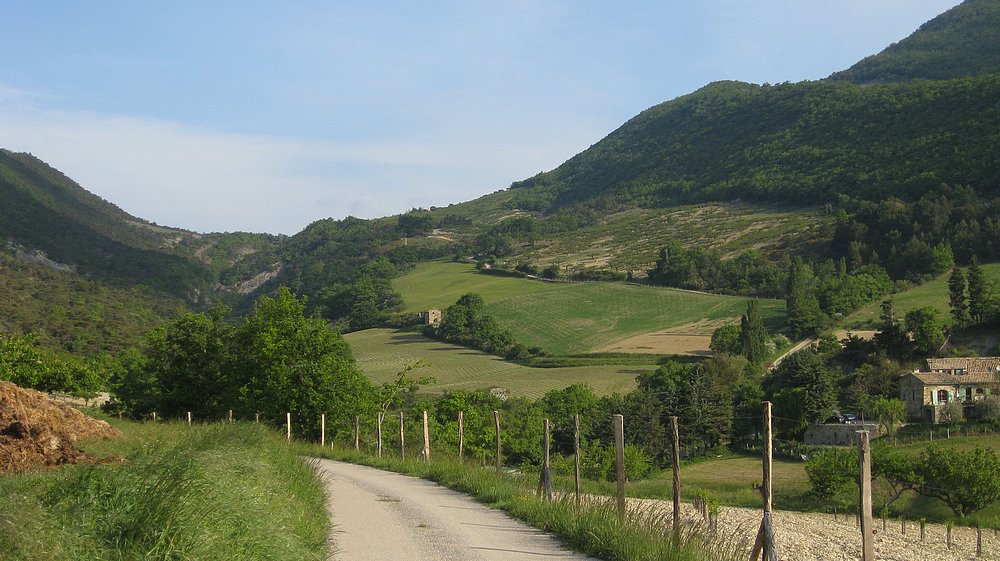 #1 Montée buccolique : au col Flachet Montée buccolique : au col Flachet