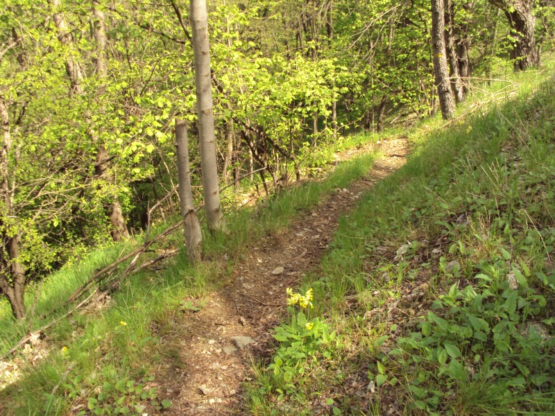 descente : chemin en epingie serres et etroite